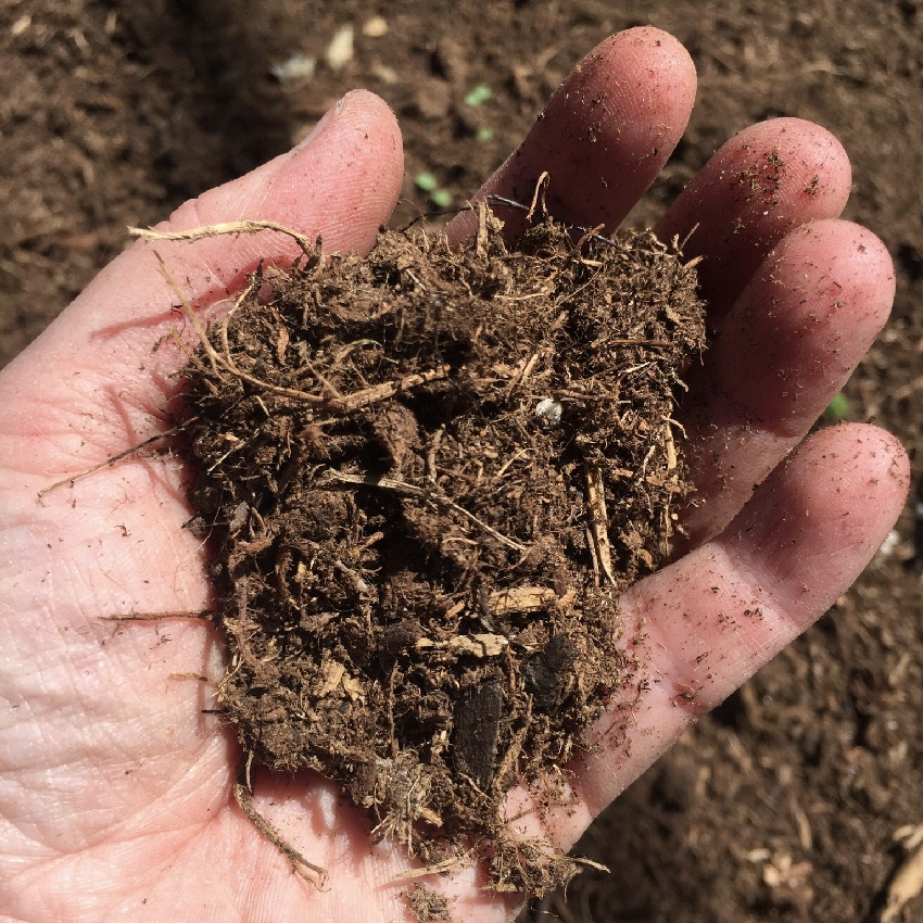 Prepare soil to create a healthy garden