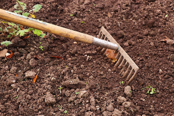 How to prepare the land for a healthy garden