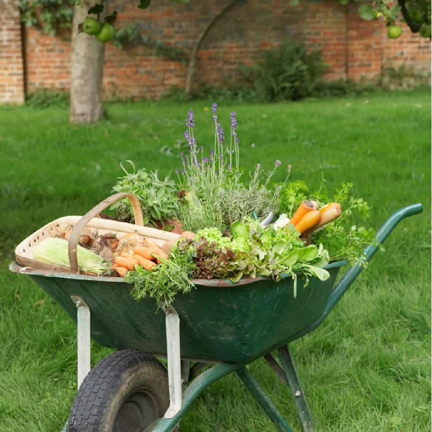Easy gardening ideas