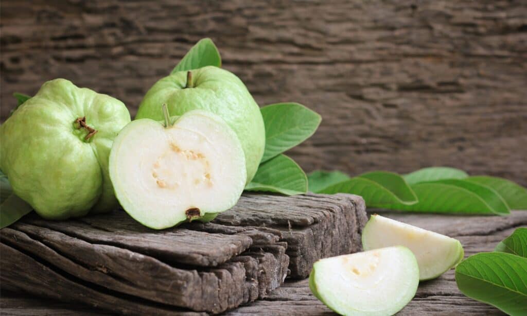 Nutritional Benefits of Guava