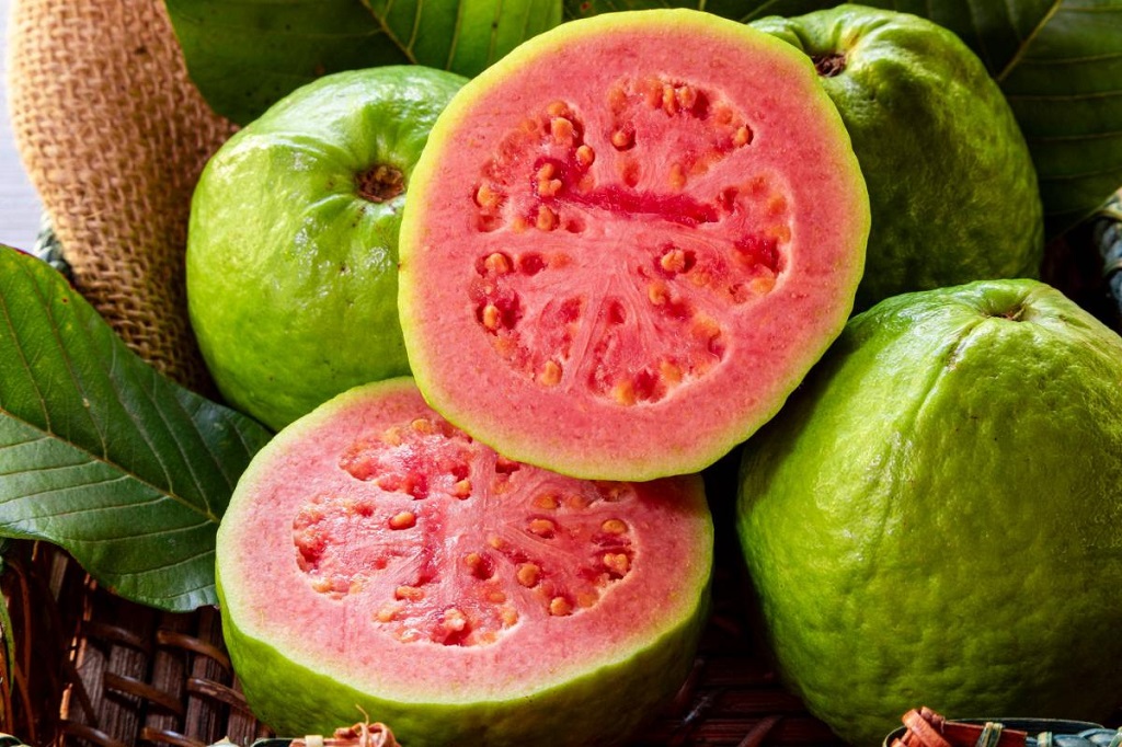 When to Avoid Guava if your dogs eat guava