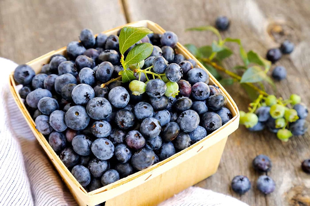 Tips for Storing Blueberries
