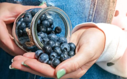 How Much Does a Pint of Blueberries Weigh?