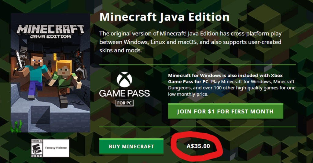 The Price Of Minecraft