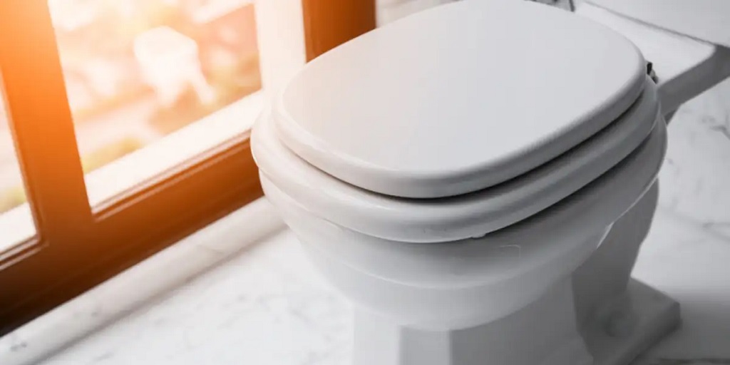 Infections Are Commonly Transmitted Through Toilet Seats
