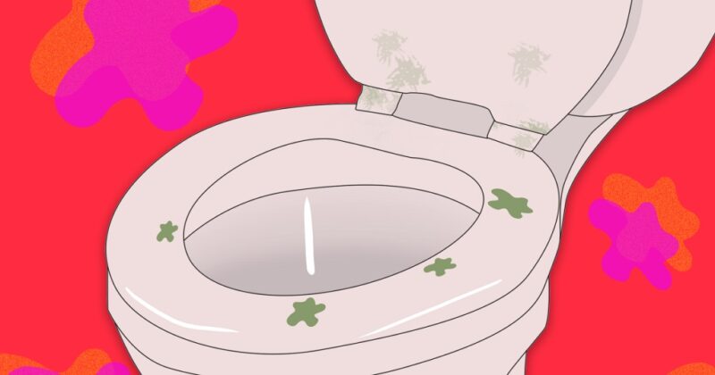 What Kind of Infections Can You Get from a Toilet Seat
