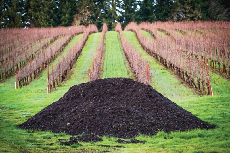 Manure vs. Mushroom Compost: Choosing the Best Soil Amendment for Your Garden