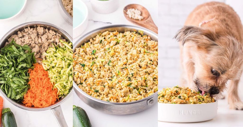 Can you create your own dog food