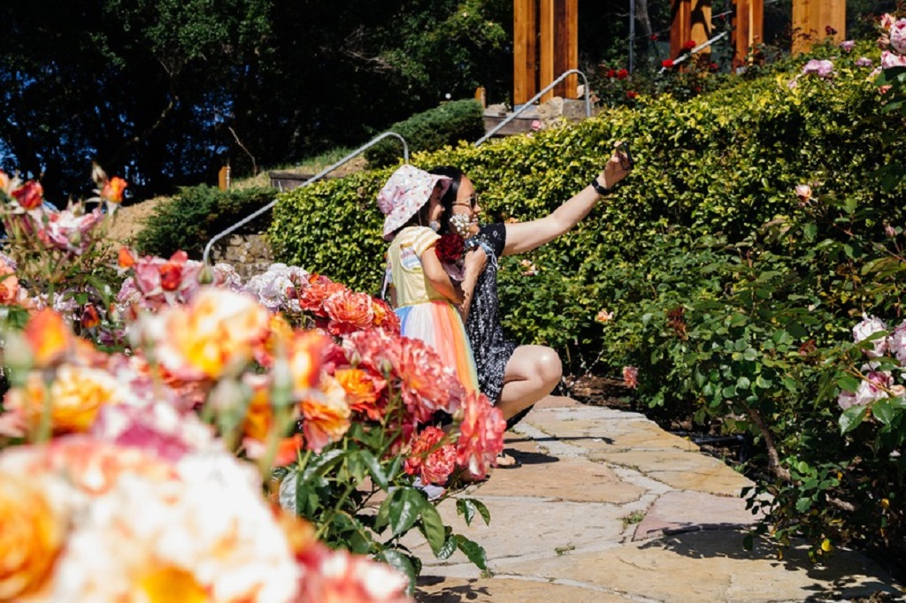 When is the best time to see peak blooms